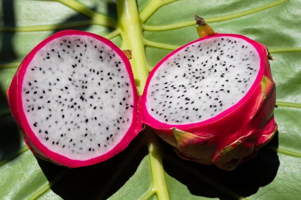 Benefits of the dragon fruit