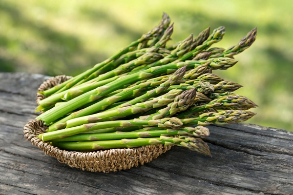 Asparagus: aristocrat amongst the vegetables with incredible health benefits