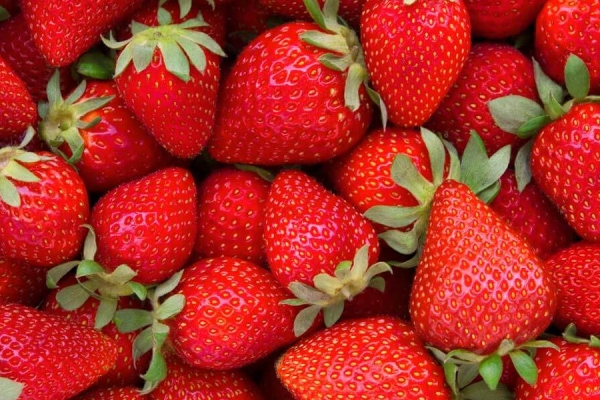 Why eat strawberries: 5 health benefits of the delicious summer fruit