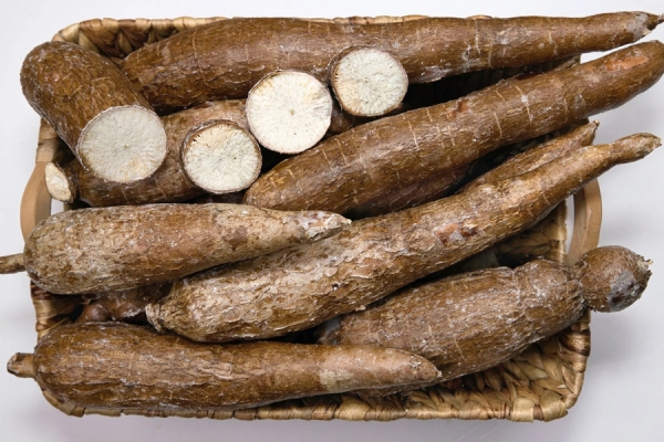 What is cassava? Health benefits and how to prepare it 