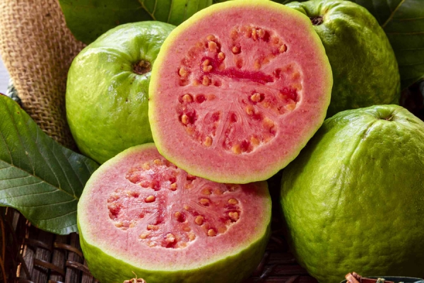 Guava